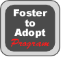 FosterToAdoptProgramIcon