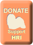 donate_08.png