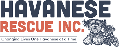 Havanese Rescue INC