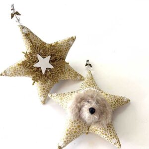 Beige Heavenly Havanese