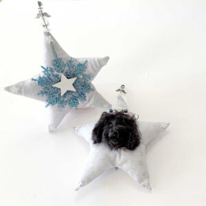 Black Heavenly Havanese