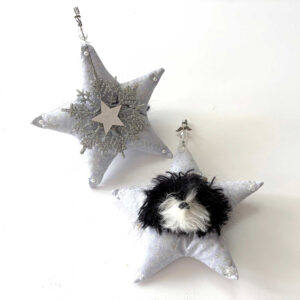 Black and White Heavenly Havanese