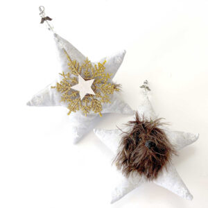 Chocolate Heavenly Havanese