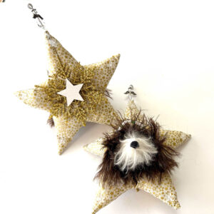 Chocolate and White Heavenly Havanese