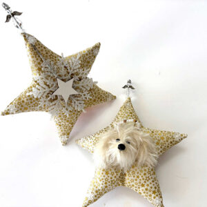 Cream Heavenly Havanese