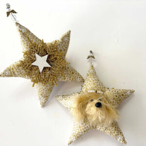 Honey Heavenly Havanese