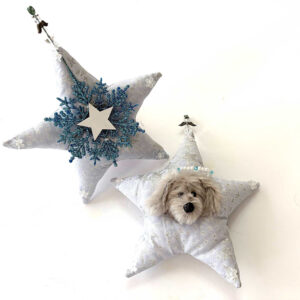 Silver Heavenly Havanese