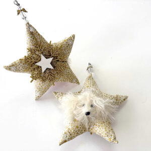 White Heavenly Havanese