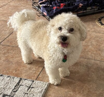 Humphrey in FL