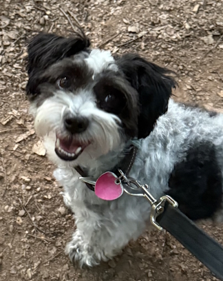 Muffy in RI